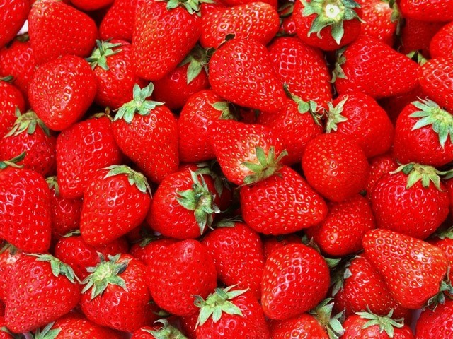 Plásticos agrícolas clasificados y prensados para valorización
